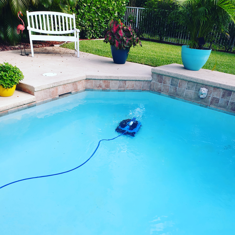 Dolphin Pool Cleaner - Review of the Nautilus CC Plus