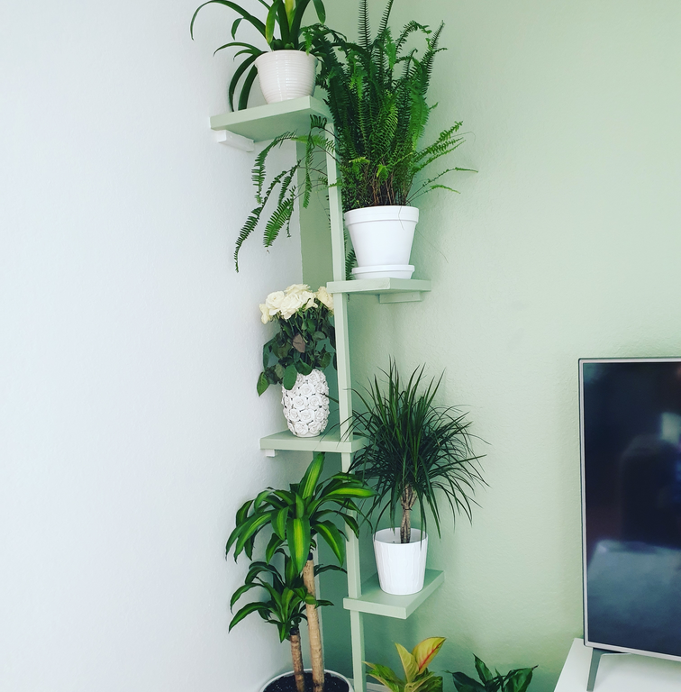 Wooden Indoor Tiered Plant Stand